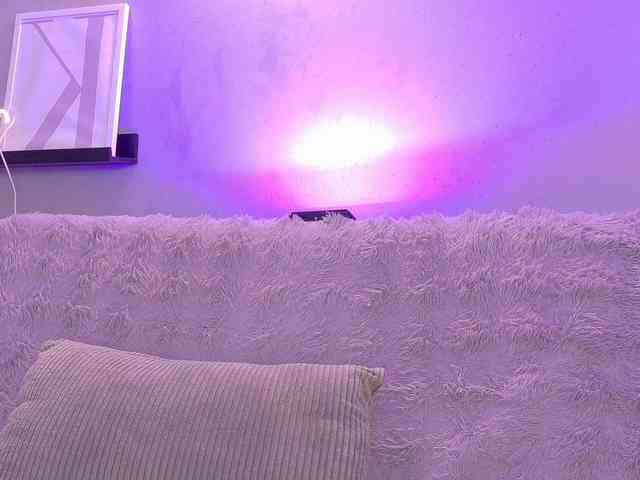 Kendalmiller webcam