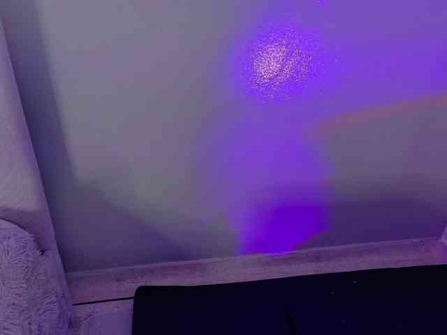 Kendalmiller webcam