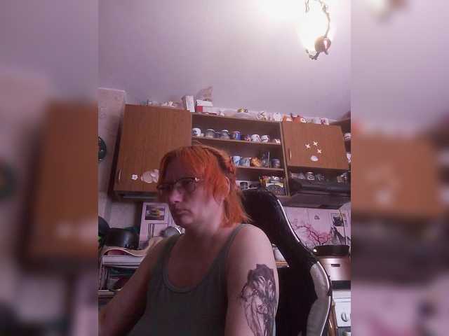 Lintu1 live webcam show