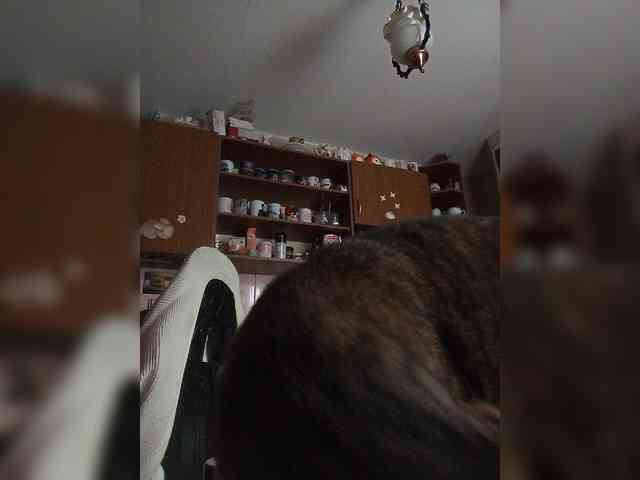 Tignari2000 webcam