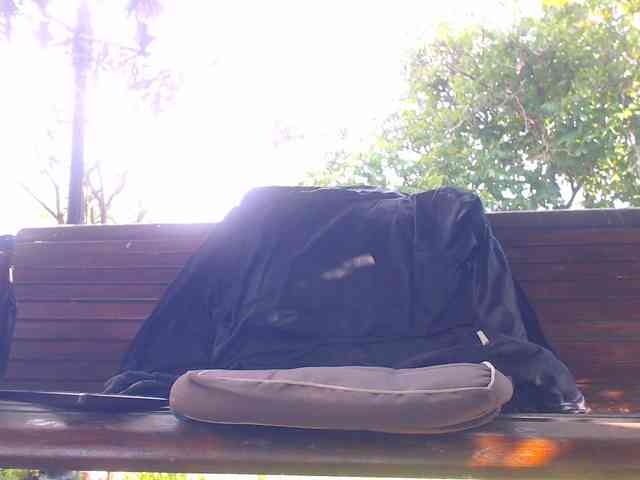 AnnBigLabia webcam