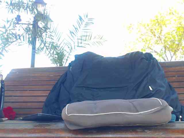 AnnBigLabia webcam