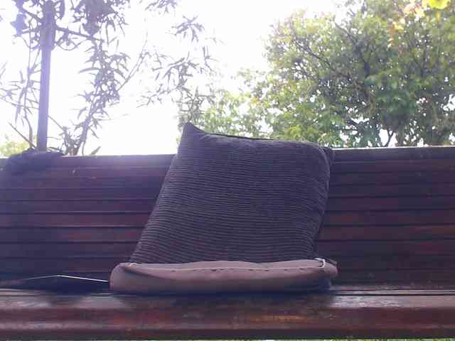 AnnBigLabia webcam