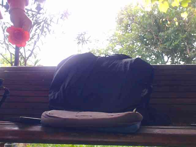 AnnBigLabia webcam