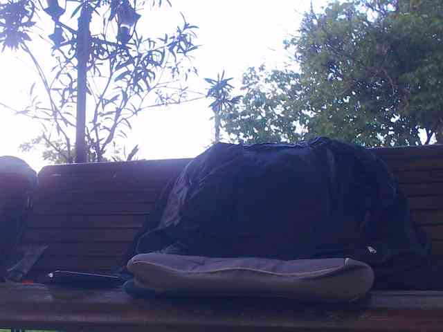 AnnBigLabia webcam