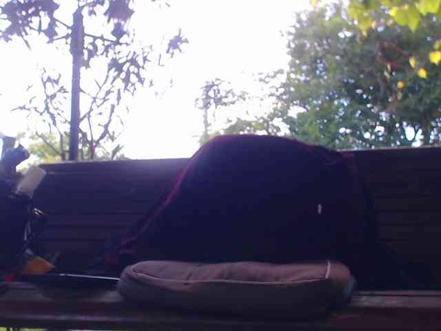 AnnBigLabia webcam