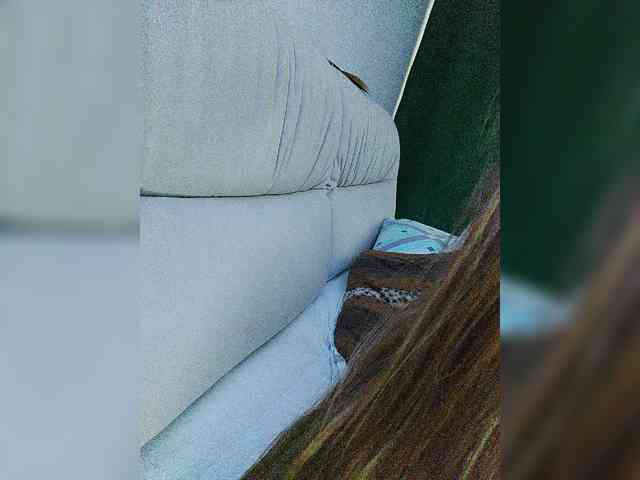 HaisonEris1 webcam