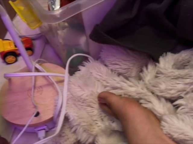 OliviaFox live cam on BongaCams