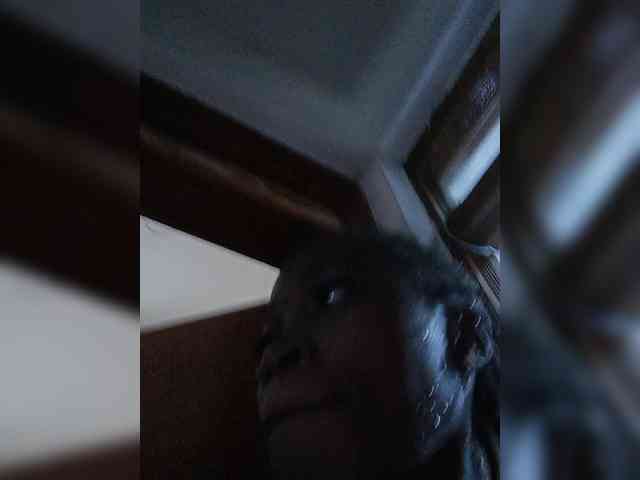Lanesra webcam