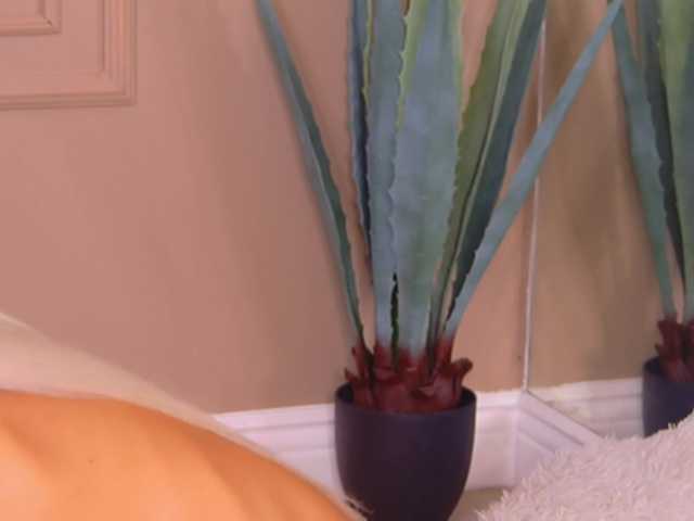 BailleyRush live cam on BongaCams