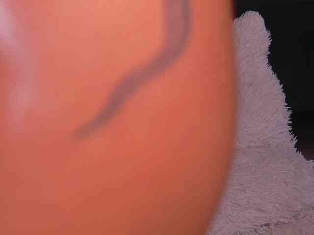 BailleyRush webcam