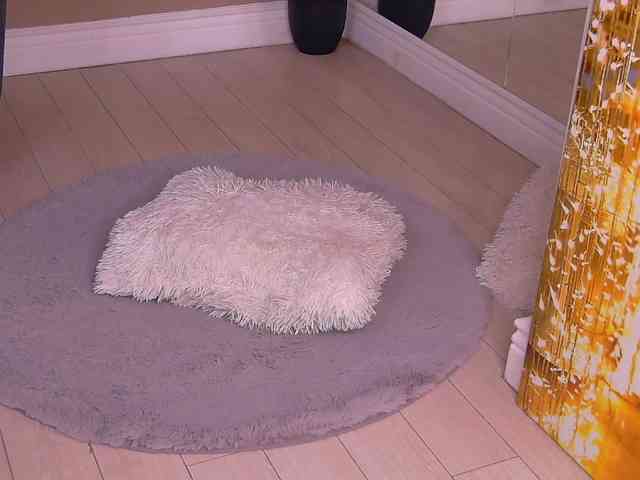 BailleyRush webcam