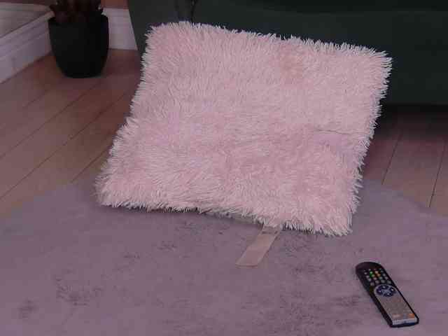 BailleyRush webcam