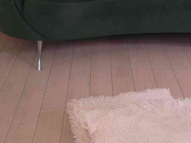 BailleyRush webcam