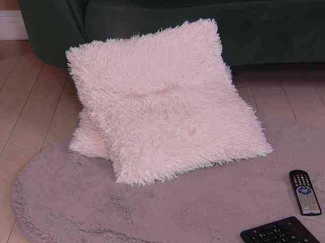 BailleyRush