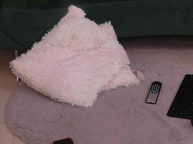 BailleyRush webcam