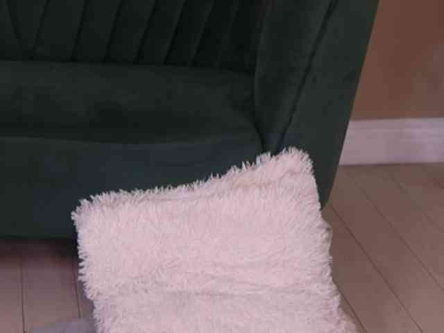 BailleyRush webcam