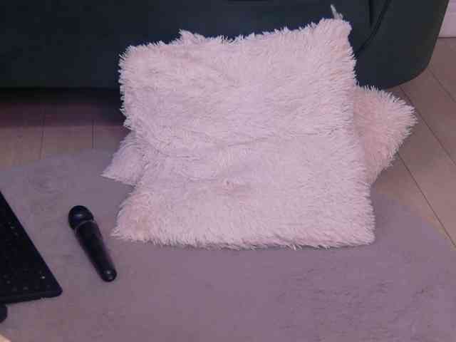 BailleyRush webcam