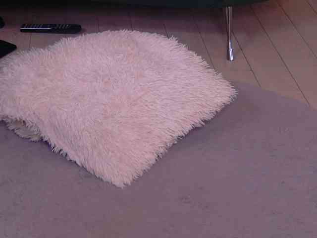 BailleyRush webcam