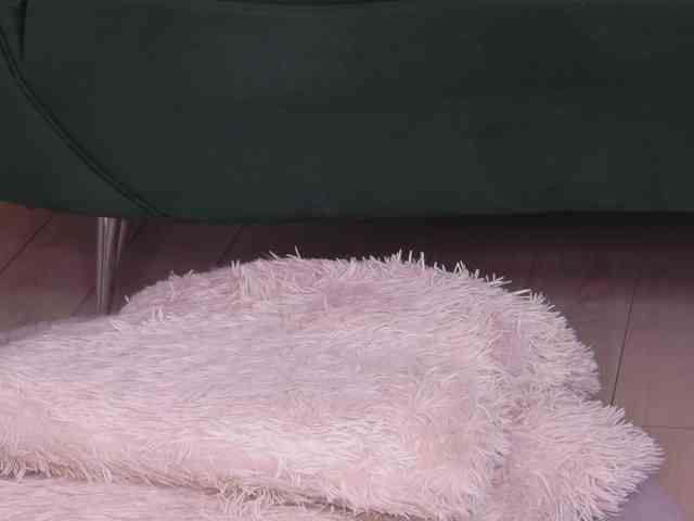 BailleyRush webcam