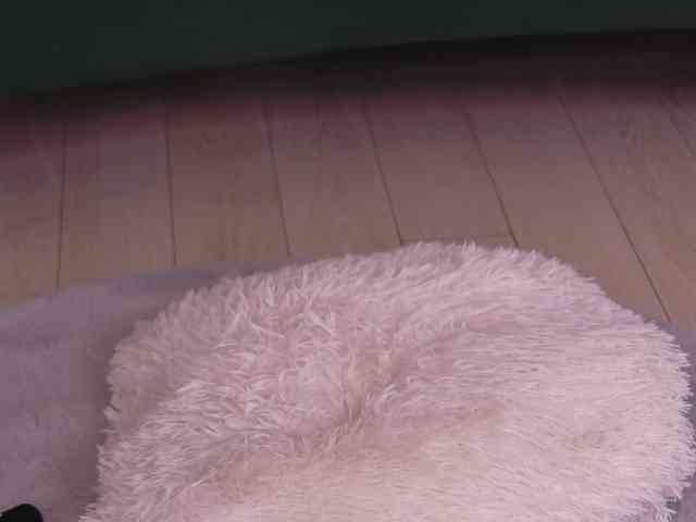 BailleyRush webcam
