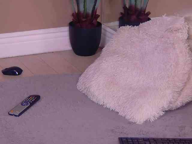 BailleyRush webcam