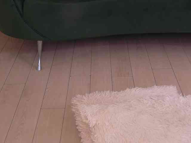 BailleyRush webcam