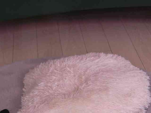 BailleyRush webcam
