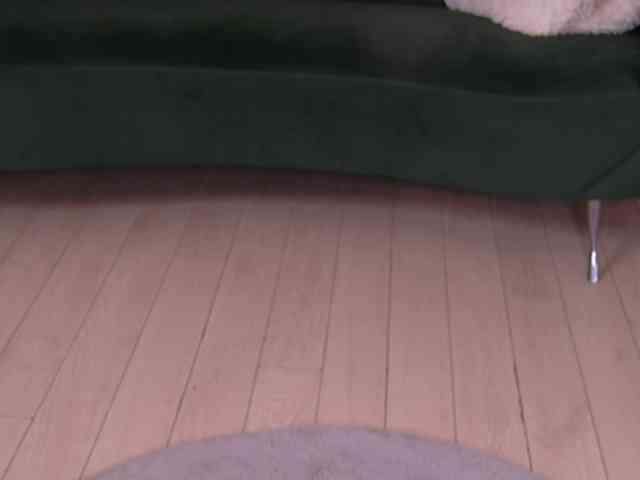BailleyRush webcam