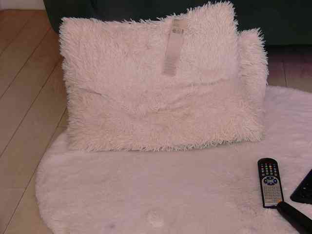 BailleyRush webcam