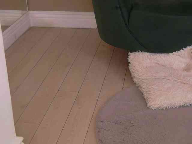 BailleyRush webcam