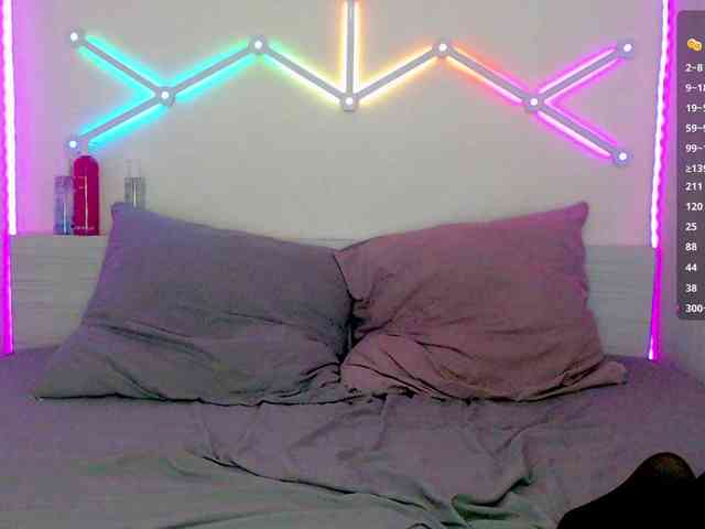 MiniMilly webcam