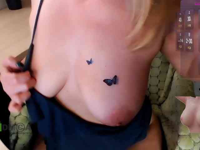 Persiks webcam