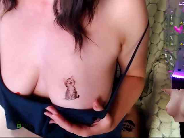 Persiks webcam