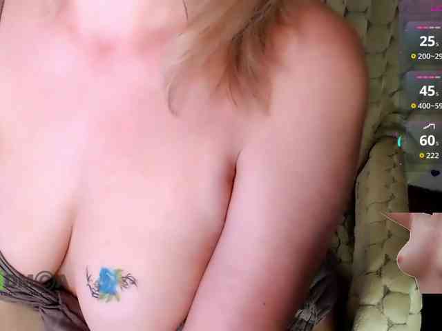 Persiks webcam