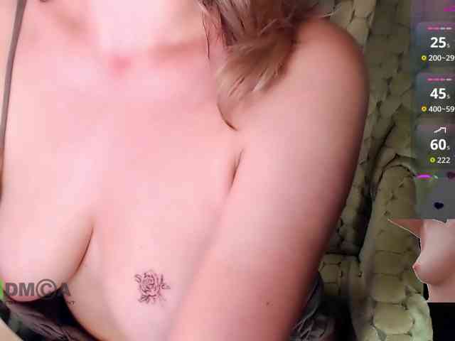 Persiks webcam