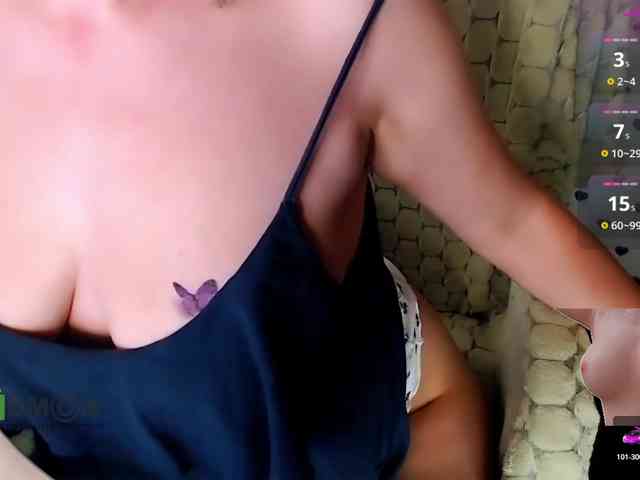 Persiks webcam