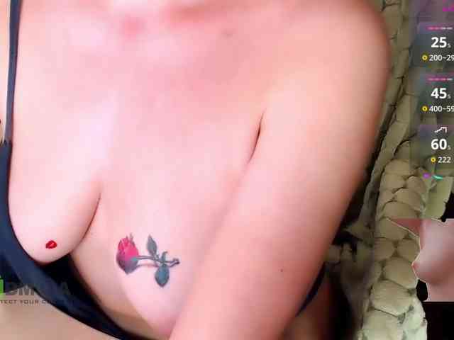 Persiks webcam