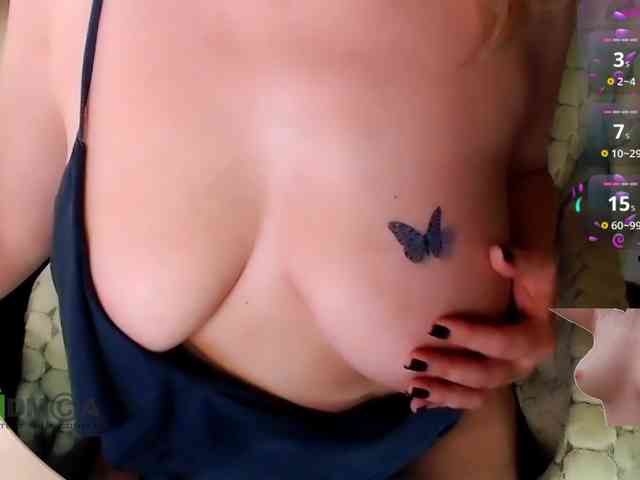 Persiks webcam