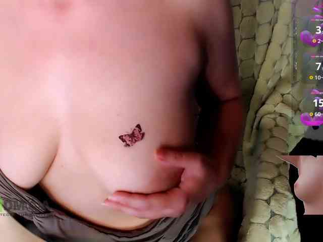 Persiks webcam