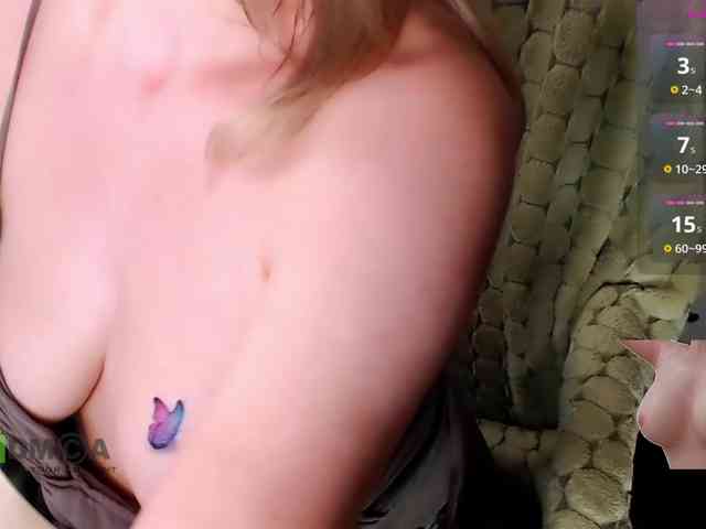 Persiks webcam