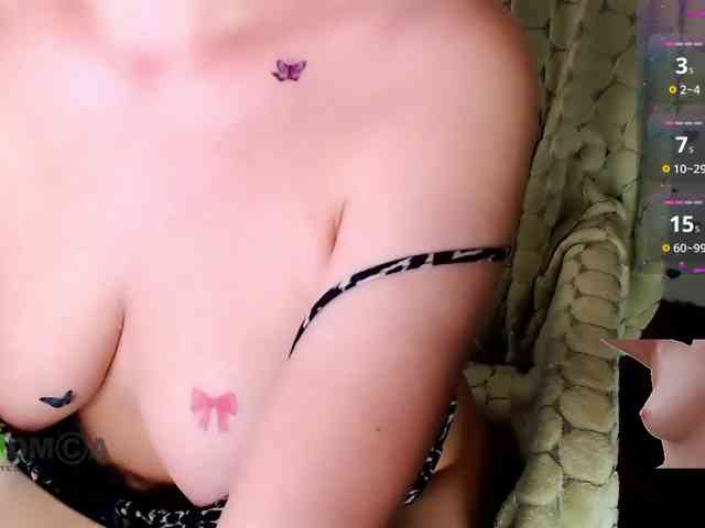 Persiks webcam