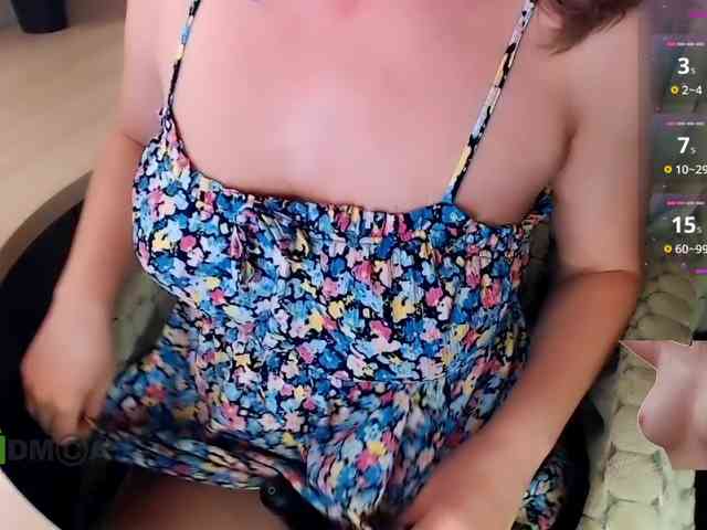 Persiks webcam