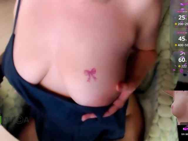 Persiks webcam