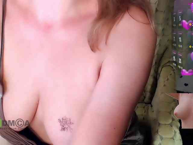 Persiks webcam