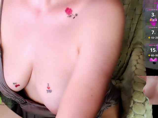 Persiks webcam