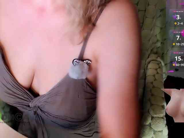 Persiks webcam