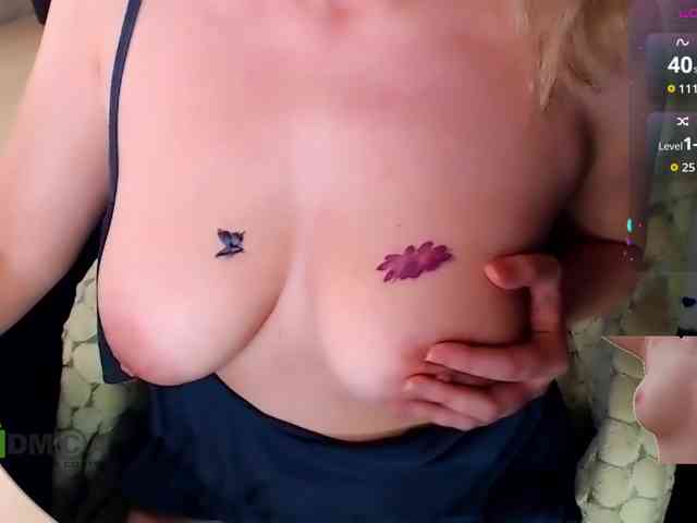 Persiks webcam