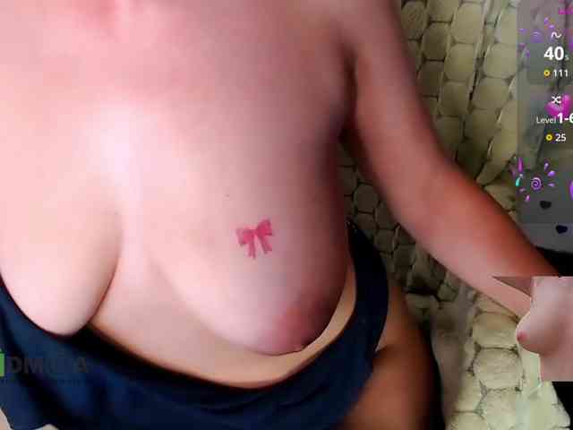 Persiks webcam