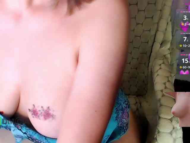 Persiks webcam